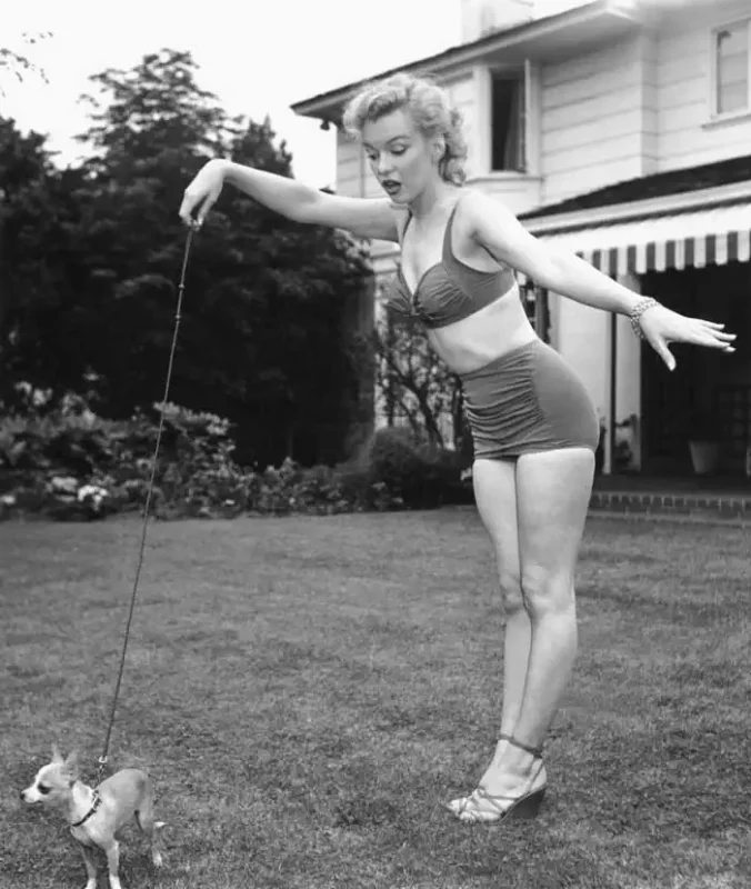 Black and White. Marilyn Monroe con un Chihuahua