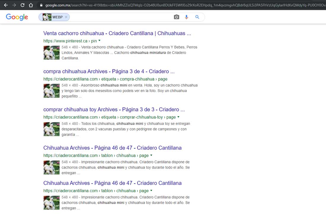 Localizando el origen de una imagen en Internet